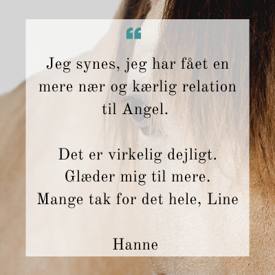 Testimonials til Line fra Hestekræfter (1)