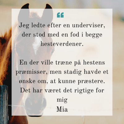 Testimonials til Line fra Hestekræfter (1)